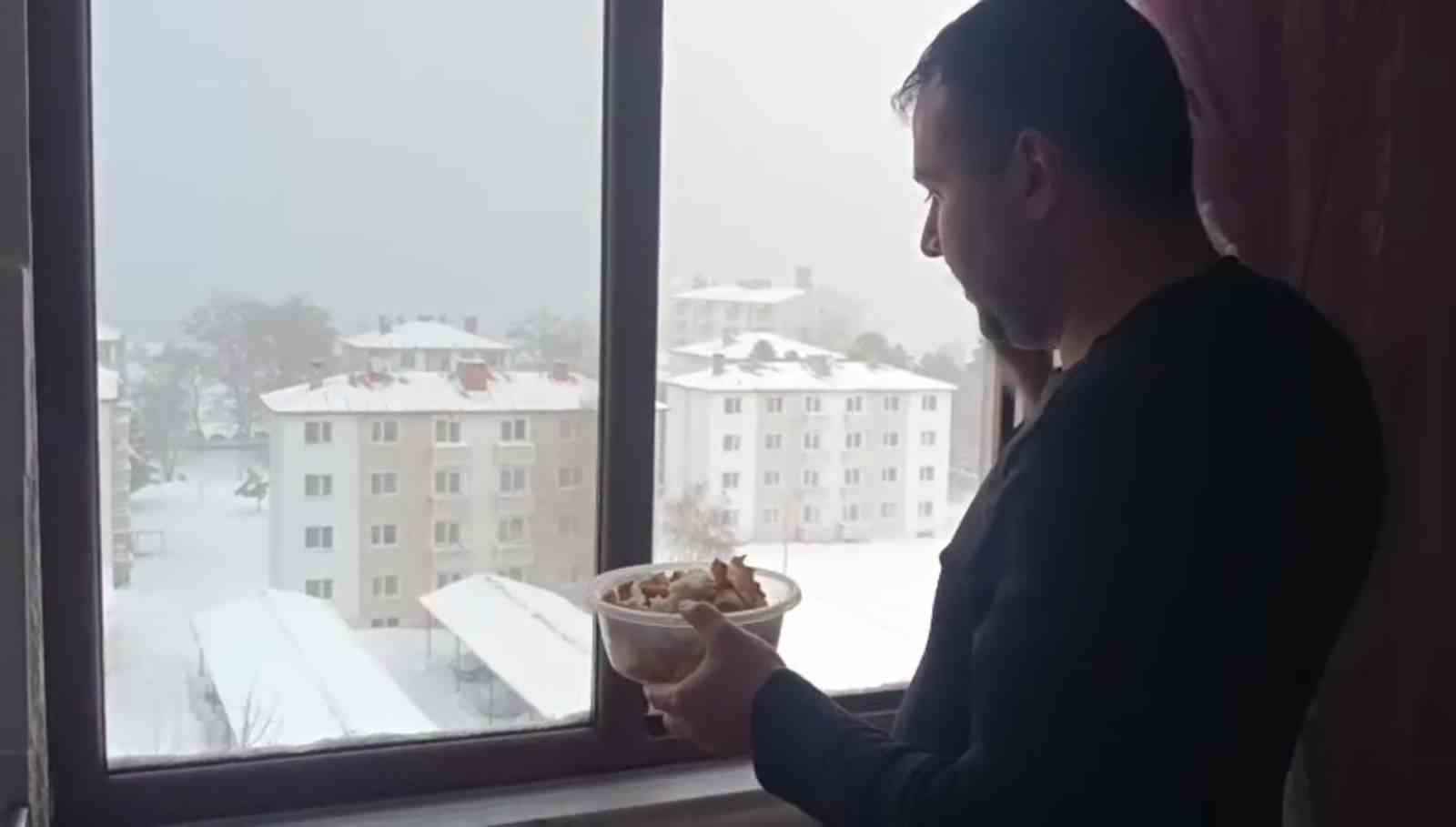 tatvanda yurekleri isitan davranis 3 kWaWrLGs