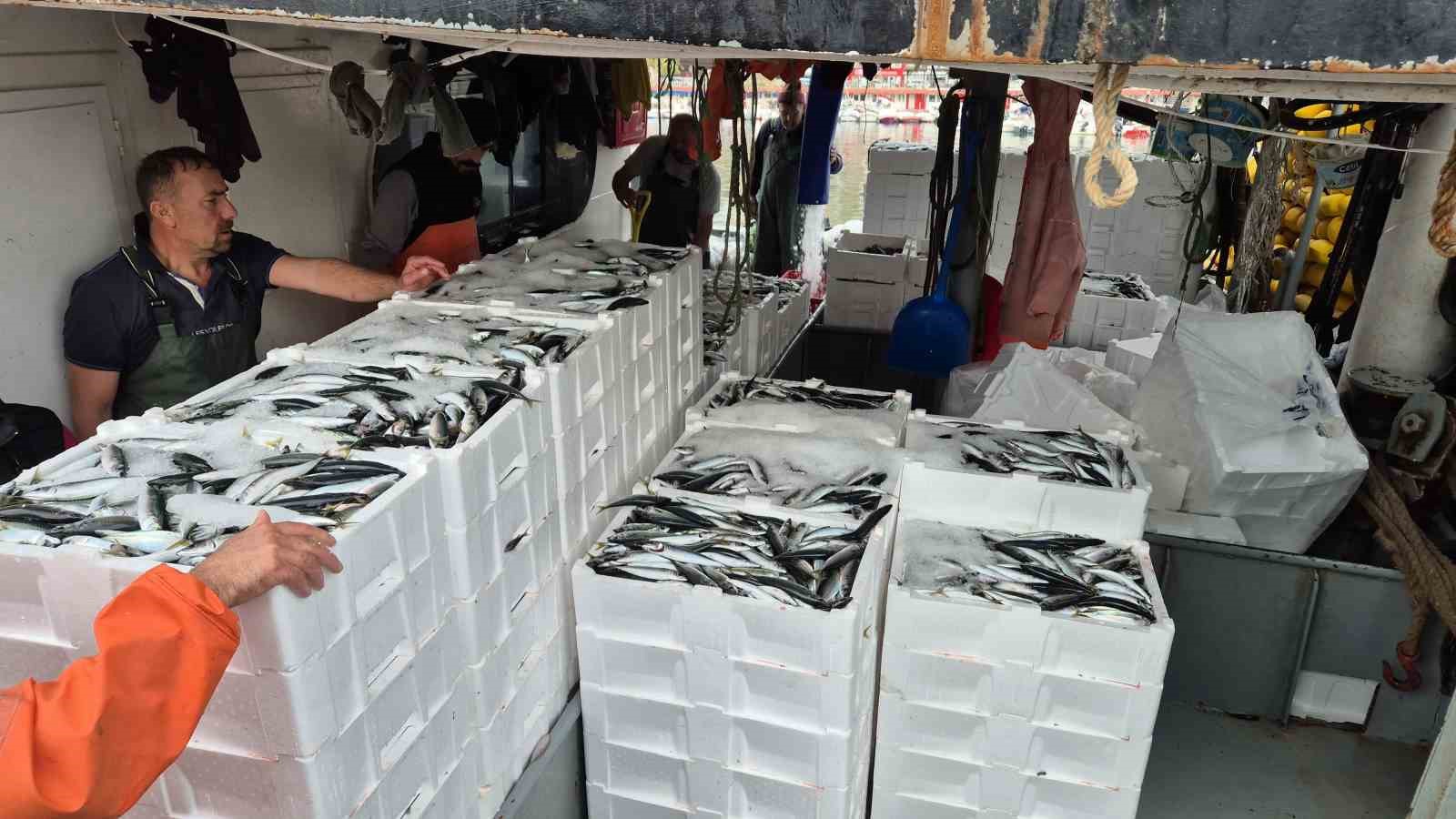 tayfalar mutlu yuzlerce kasa balik yakalandi 0 8rnk3JNf
