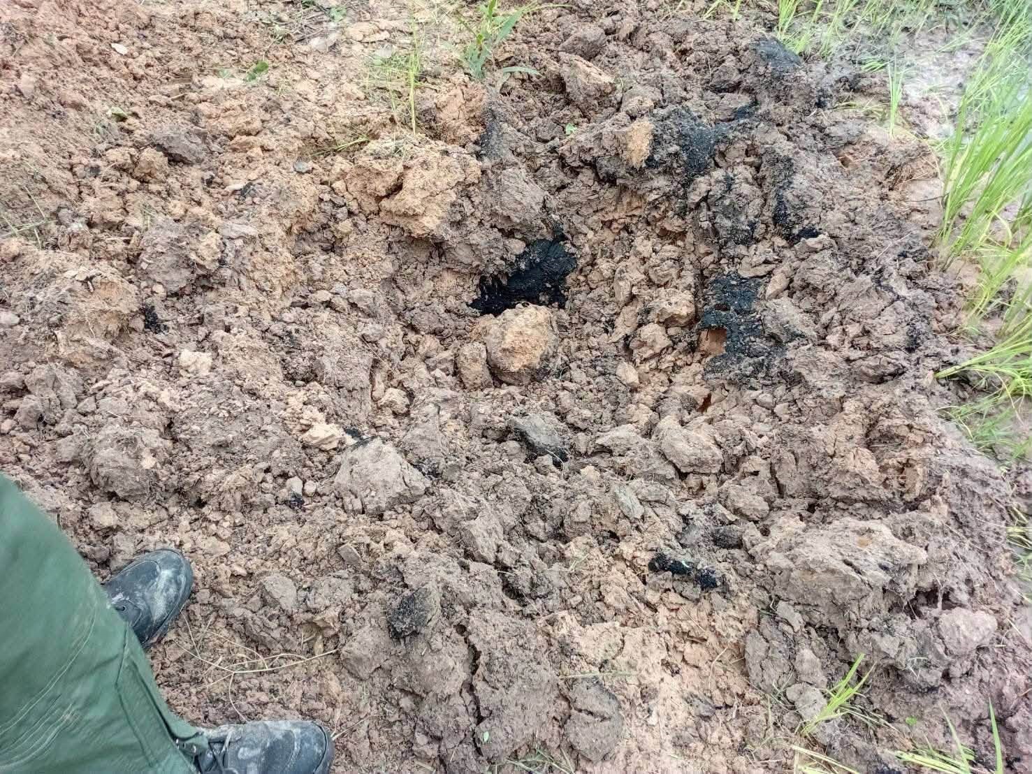 Tayland’da evcil köpek, eve el bombası getirdi 4 taylandda evcil kopek eve el bombasi getirdi 0 9wiDu9Rl
