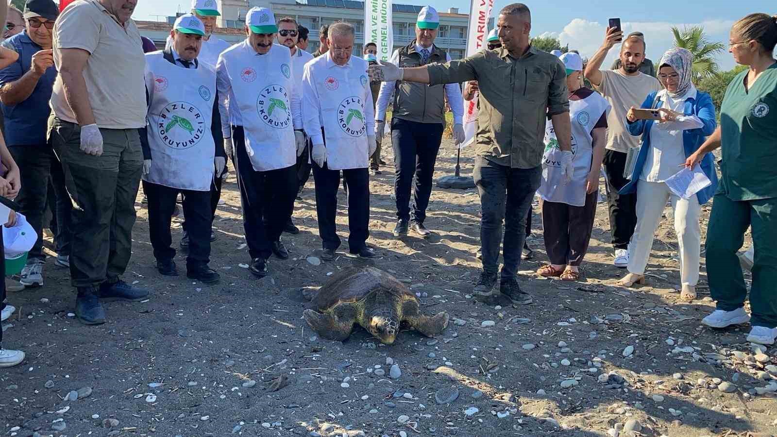 Tedavisi tamamlanan 3 deniz kaplumbağası yeniden denizle buluştu 4 tedavisi tamamlanan 3 deniz kaplumbagasi yeniden denizle bulustu 0 egzLDHbh