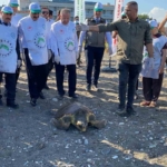 tedavisi-tamamlanan-3-deniz-kaplumbagasi-yeniden-denizle-bulustu-AamQdwfW.jpg