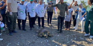 tedavisi-tamamlanan-3-deniz-kaplumbagasi-yeniden-denizle-bulustu-AamQdwfW.jpg