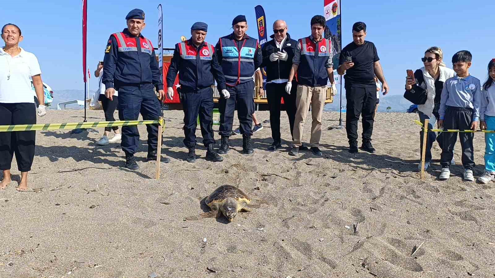 tedavisi tamamlanan caretta caretta denizin maviligine kulac acti 1 DCKMuAGu