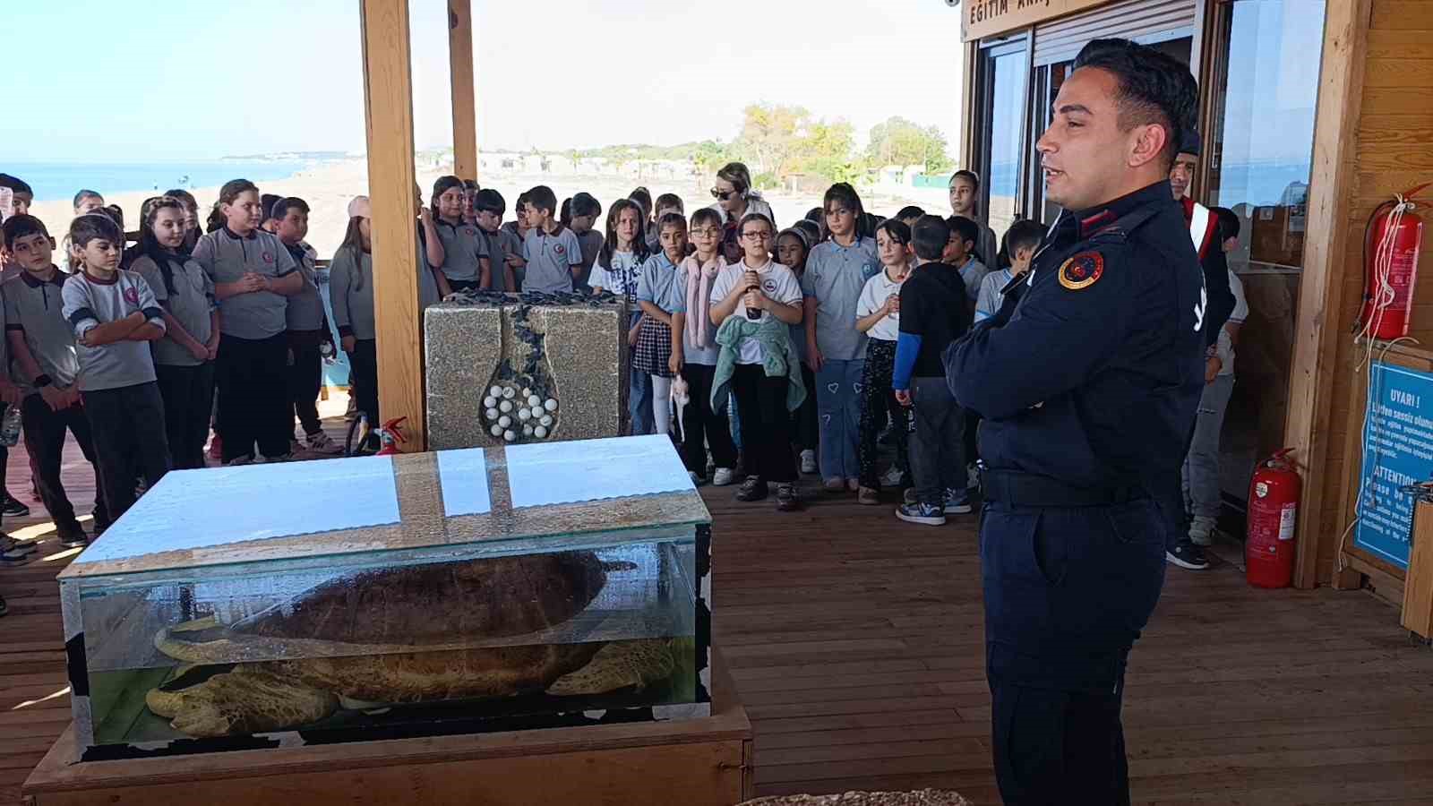 tedavisi tamamlanan caretta caretta denizin maviligine kulac acti 5 2Kwq5FSe