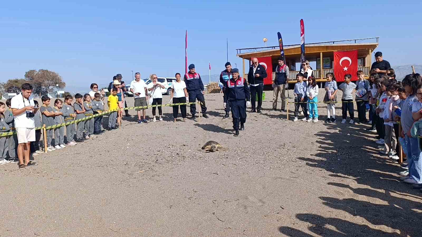 tedavisi tamamlanan caretta caretta denizin maviligine kulac acti 6 g8OY7Mds
