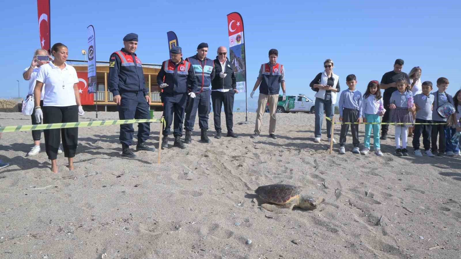 tedavisi tamamlanan caretta caretta denizin maviligine kulac acti 9 k8MZ8kd8
