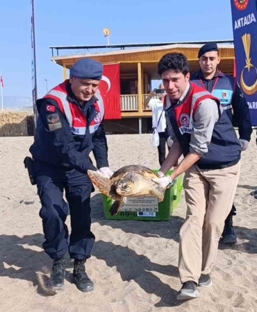 tedavisi-tamamlanan-caretta-caretta-denizin-maviligine-kulac-acti-u2U9zkq9.jpg
