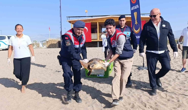 tedavisi-tamamlanan-caretta-caretta-denizin-maviligine-kulac-acti-u2U9zkq9.jpg