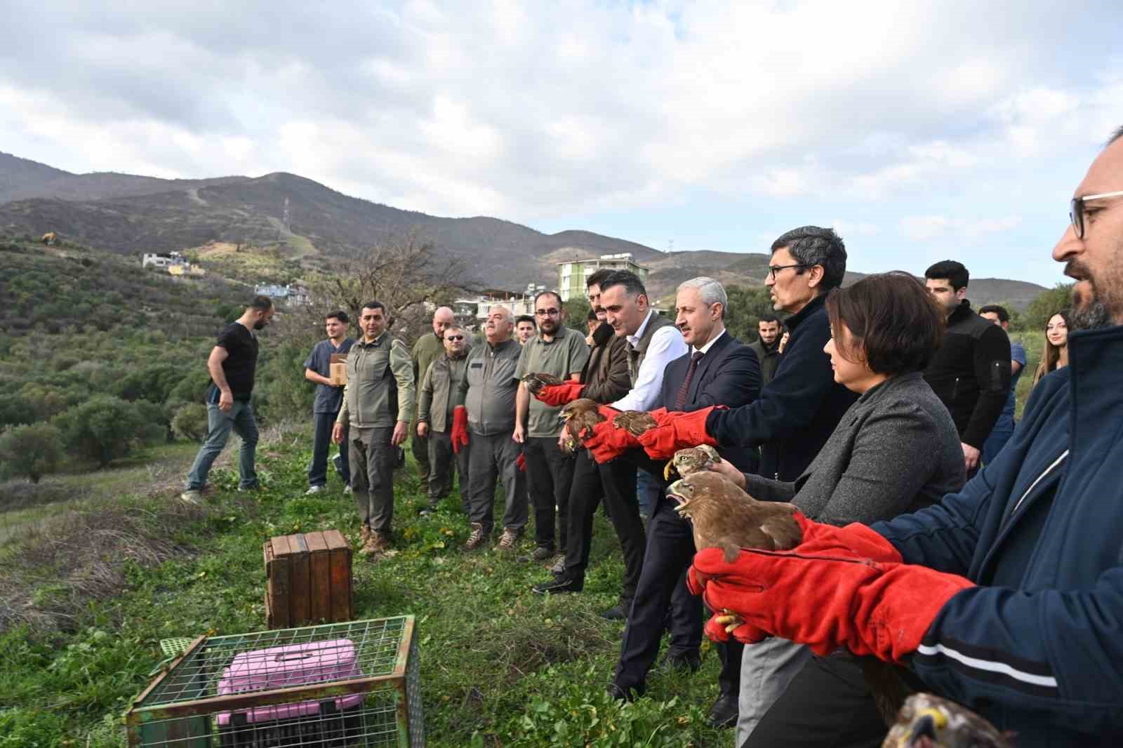 Tedavisi tamamlanan yırtıcı kuşlar özgürlüğe kanat çırptılar 4 tedavisi tamamlanan yirtici kuslar ozgurluge kanat cirptilar 0 UGgSWpTR