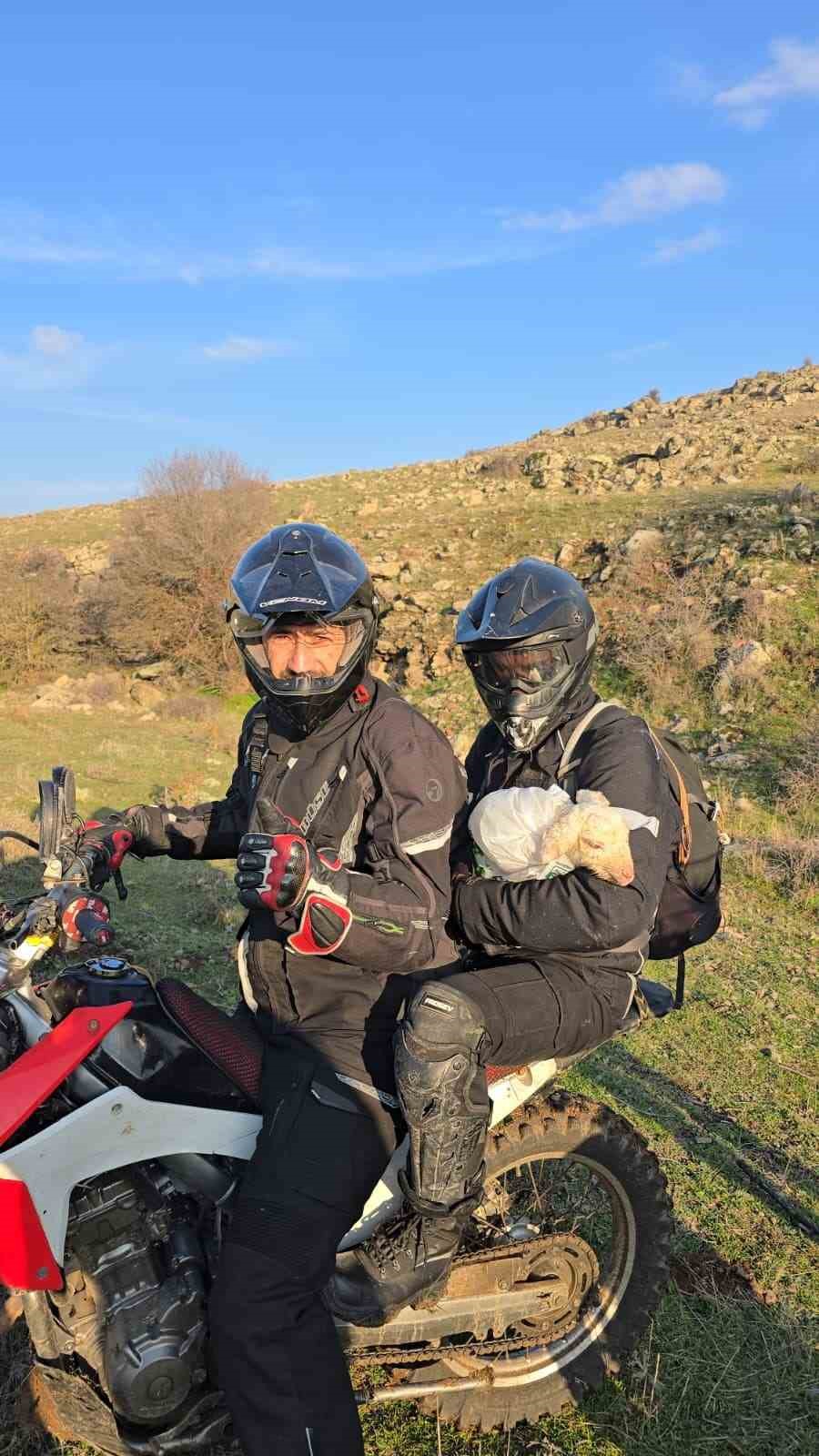 tek basina bulduklari yeni dogmus kuzuyu 3 kilometre otedeki annesi ile kavusturdular 2 XRPI8nVN