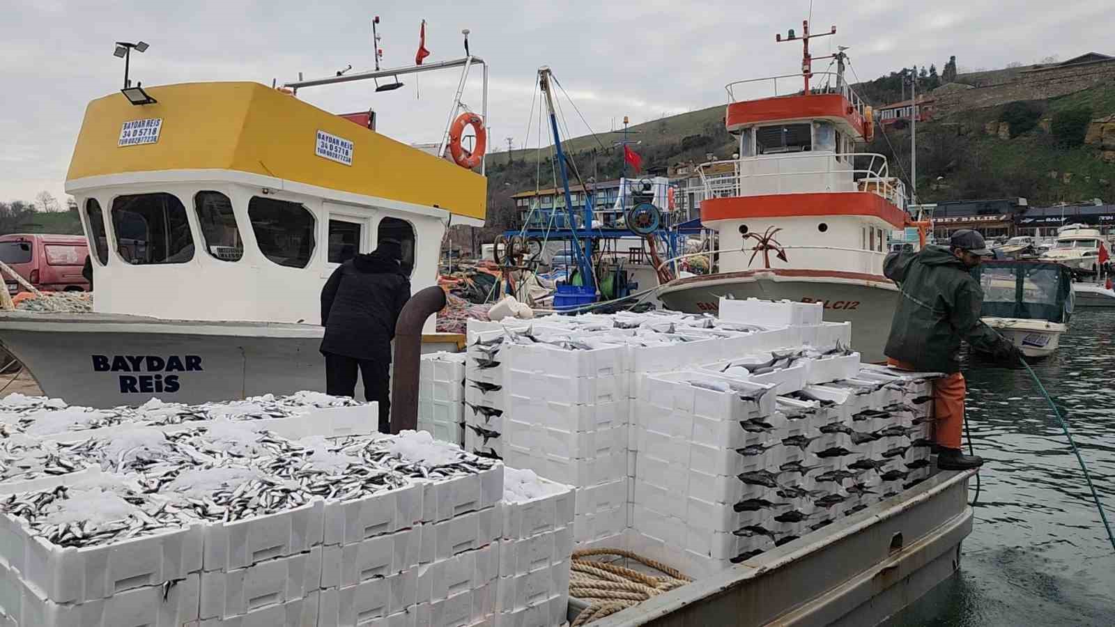 tekirdag aciklarinda torik bereketi 2 qXr1fvYV