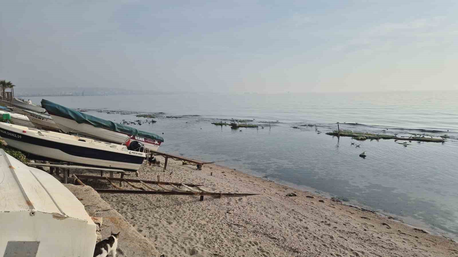 tekirdag deniz cekildi kral yolu ortaya cikti 4 sFp7tpdY