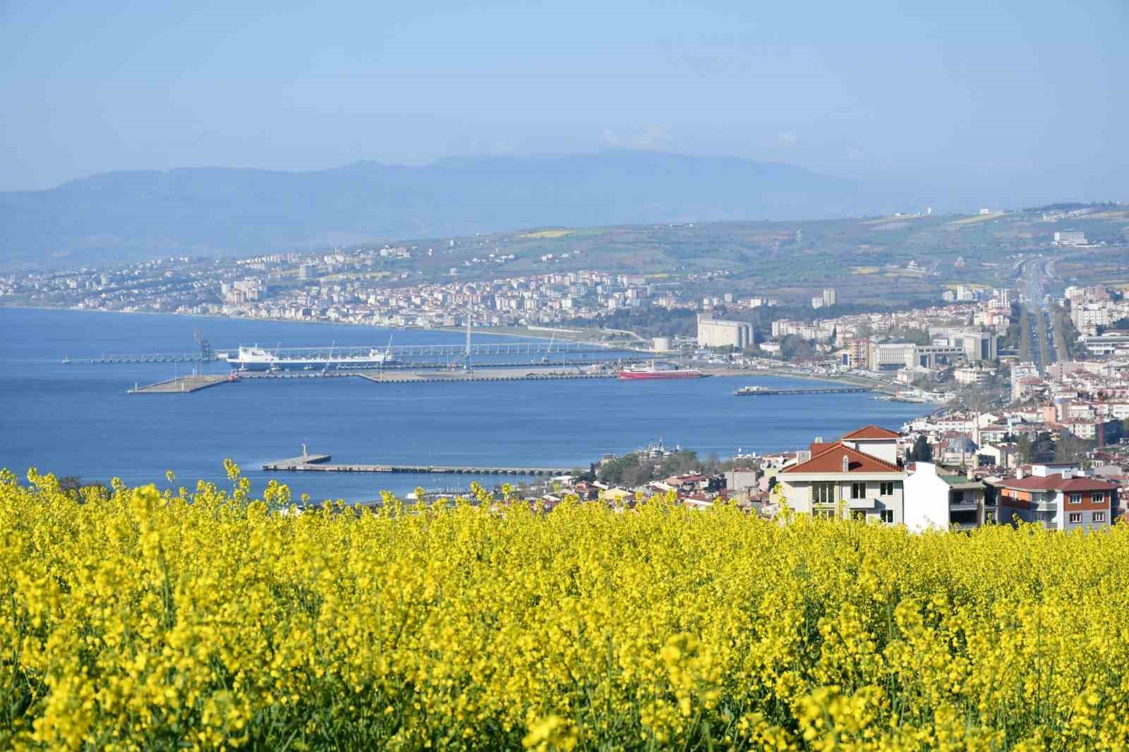 Tekirdağ sarıya büründü: Kanola tarlaları kartpostallık manzaralar oluşturdu 16 tekirdag sariya burundu kanola tarlalari kartpostallik manzaralar olusturdu 12 fnY2L6fy