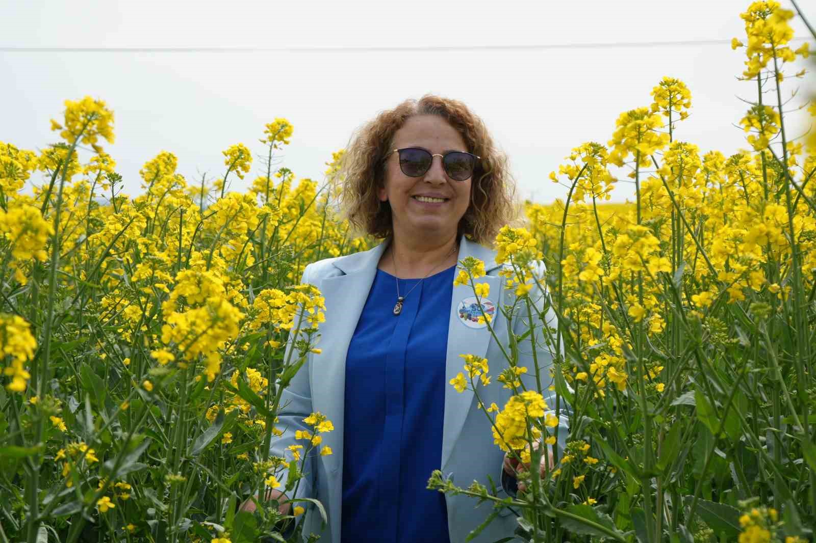 Tekirdağ sarıya büründü: Kanola tarlaları kartpostallık manzaralar oluşturdu 6 tekirdag sariya burundu kanola tarlalari kartpostallik manzaralar olusturdu 2 sGnciLNX