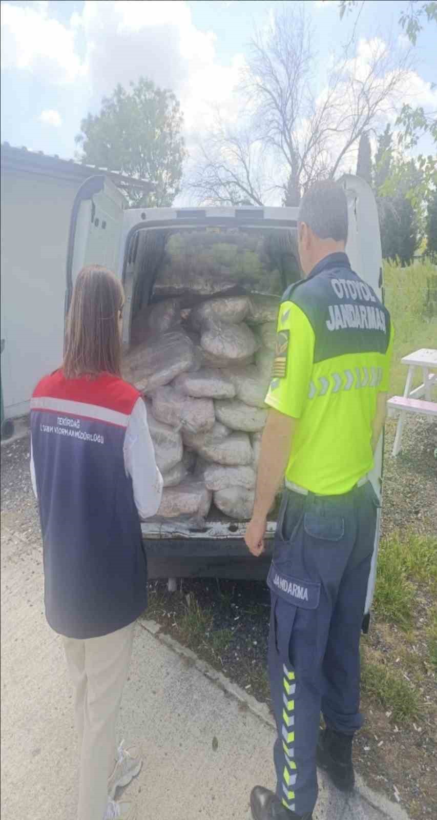 tekirdagda 1 ton 200 kilogram sagliksiz mumbar imha edildi 1