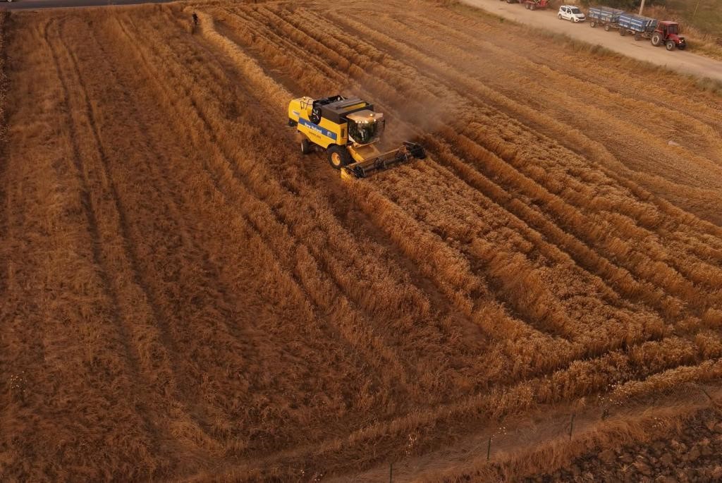 Tekirdağ’da 10’uncu Hasat Bayramı kutlandı 4 tekirdagda 10uncu hasat bayrami kutlandi 0 qAgKe7XT