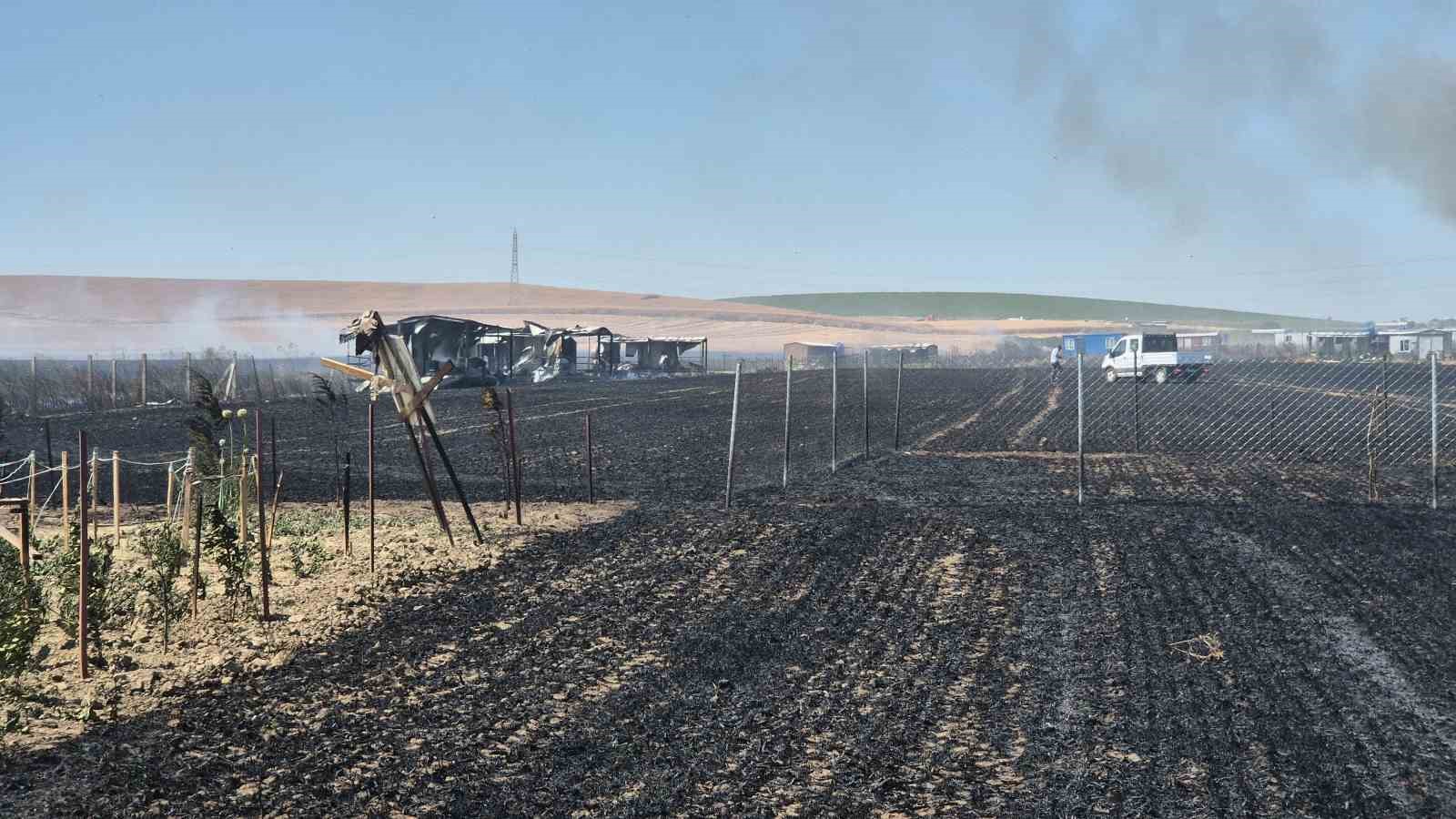 tekirdagda 2 farkli noktada cikan yangin sonduruldu 700 donumluk alan ve 20 konteyner kul MgHZLXMt