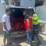 tekirdagda-700-kilogram-kacak-midye-ele-gecirildi-VfiWQfuX.jpg