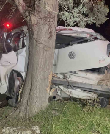tekirdagda-agaca-carpan-otomobilin-surucusu-yaralandi-LIJqsgB8.jpg