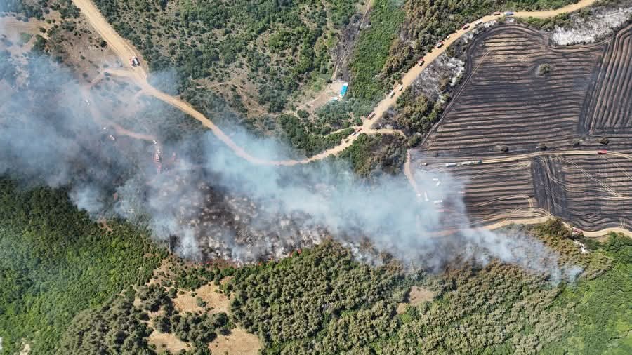 tekirdagda aniz yangini ormana sicradi havadan ve karadan mudahaleyle kontrol altina alindi 1 7JGQzVMc