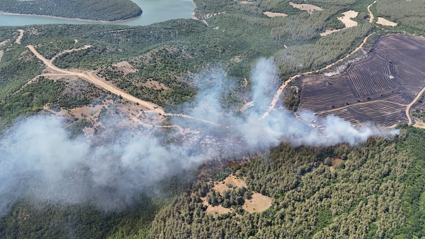 tekirdagda aniz yangini ormana sicradi havadan ve karadan mudahaleyle kontrol altina alindi 3 mYcHRpfR