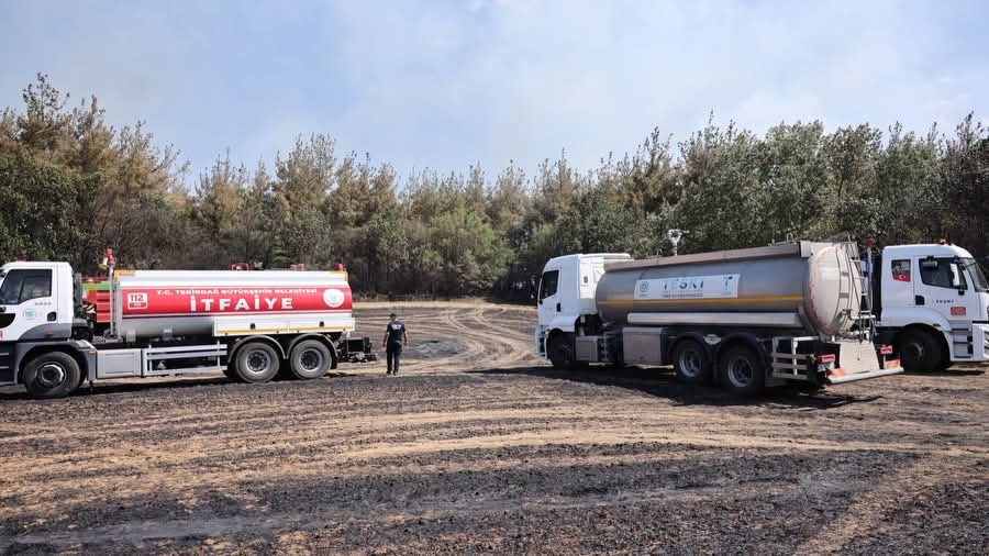tekirdagda aniz yangini ormana sicradi havadan ve karadan mudahaleyle kontrol altina alindi 4 6grhqJKe