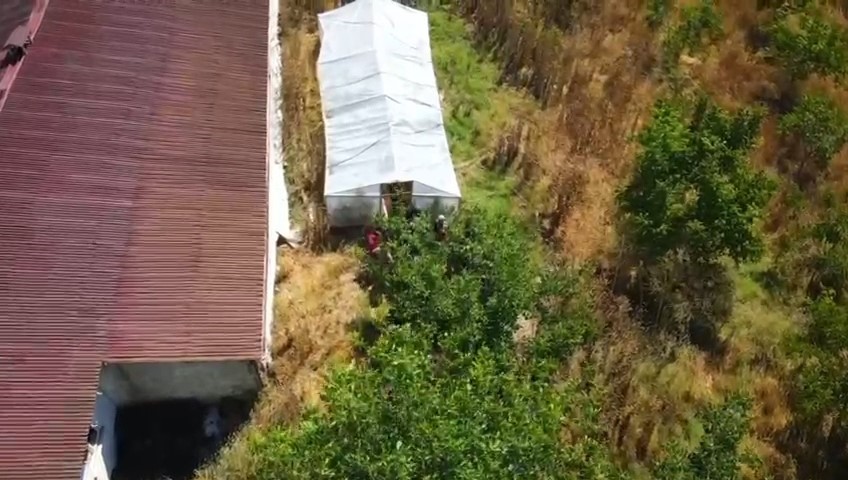 Tekirdağ’da bağ evine narkotik operasyonu: 109 kök hint keneviri ele geçirildi 4 tekirdagda bag evine narkotik operasyonu 109 kok hint keneviri ele gecirildi 0