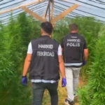 tekirdagda-bag-evine-narkotik-operasyonu-109-kok-hint-keneviri-ele-gecirildi-puIkGZPV.jpg