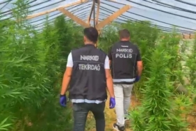 tekirdagda-bag-evine-narkotik-operasyonu-109-kok-hint-keneviri-ele-gecirildi-puIkGZPV.jpg