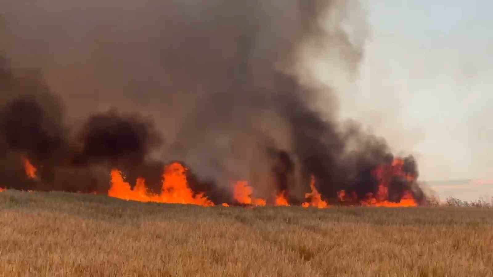 tekirdagda bugday tarlalarina sicrayan yanginda 300 donum alan kul oldu 0 KHbnBZIV