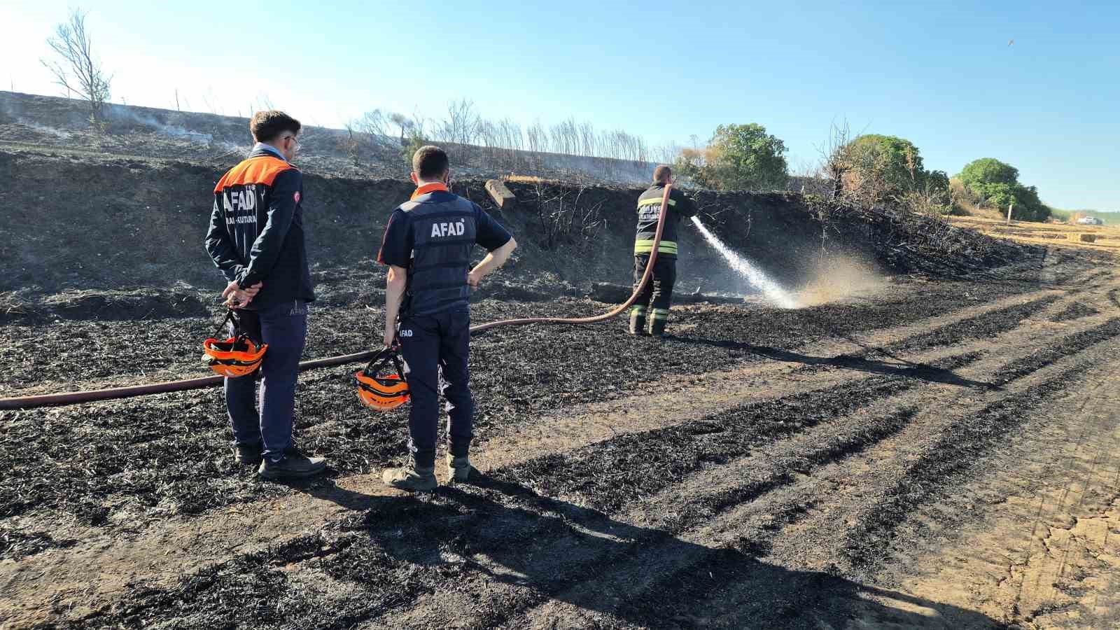 tekirdagda bugday tarlalarina sicrayan yanginda 300 donum alan kul oldu 5 2tek6zwK