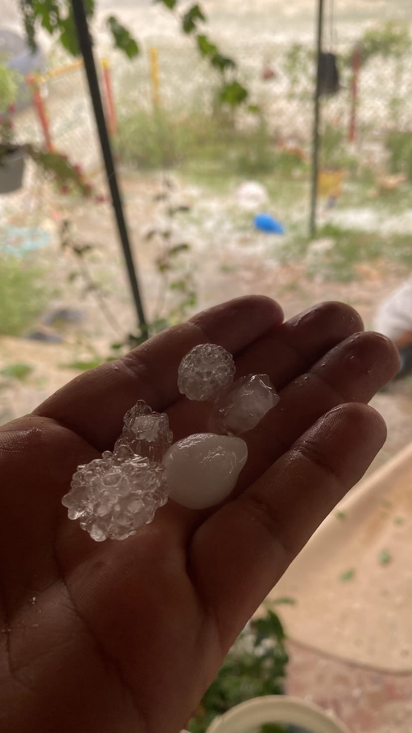 tekirdagda dolu aycicegi ve karpuz tarlalarini vurdu 2 mMUReL5R