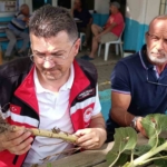 tekirdagda-dolunun-vurdugu-koylerde-hasar-tespit-calismalari-suruyor-ZPiZU3Ux.jpg