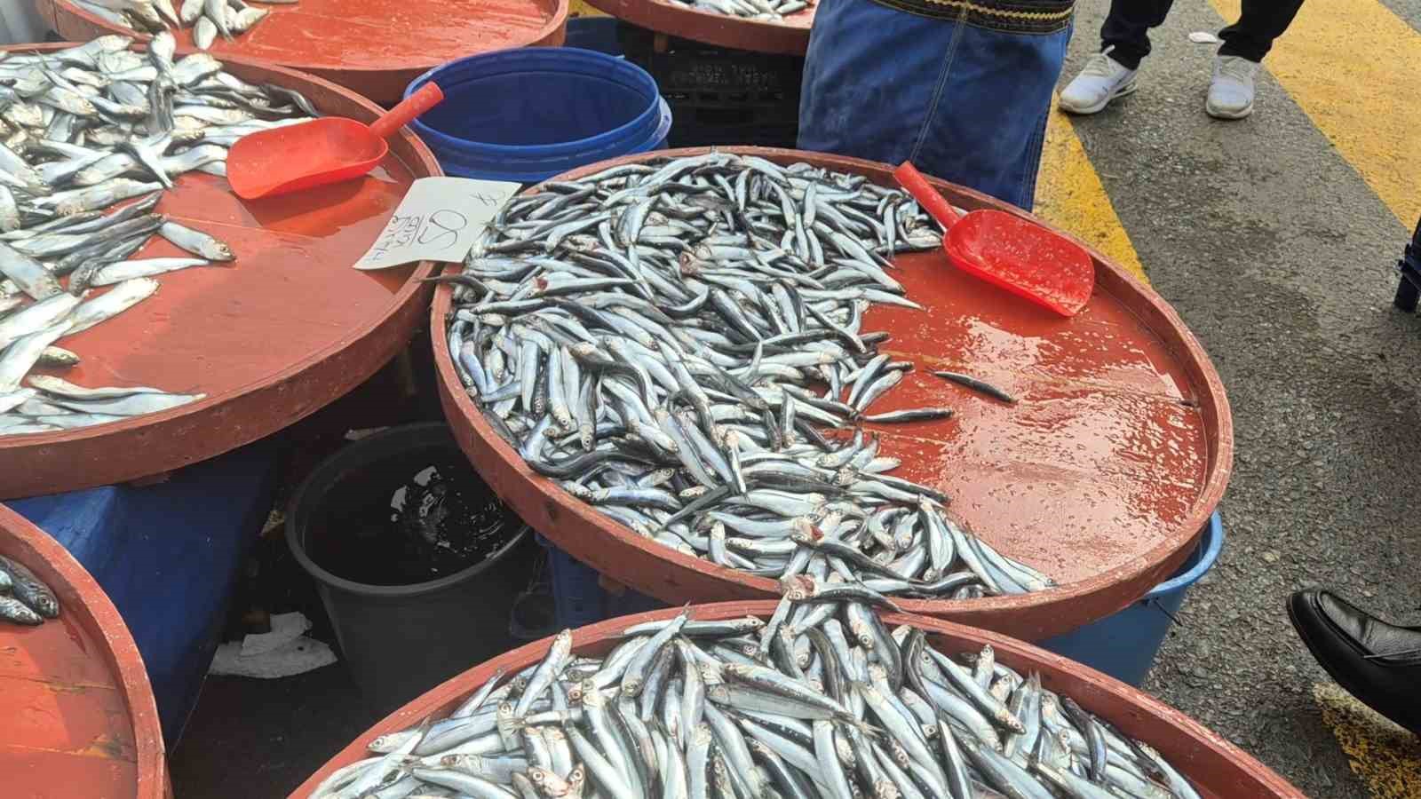 tekirdagda hamsi 50 tlye dustu 2 7dZIaQJU