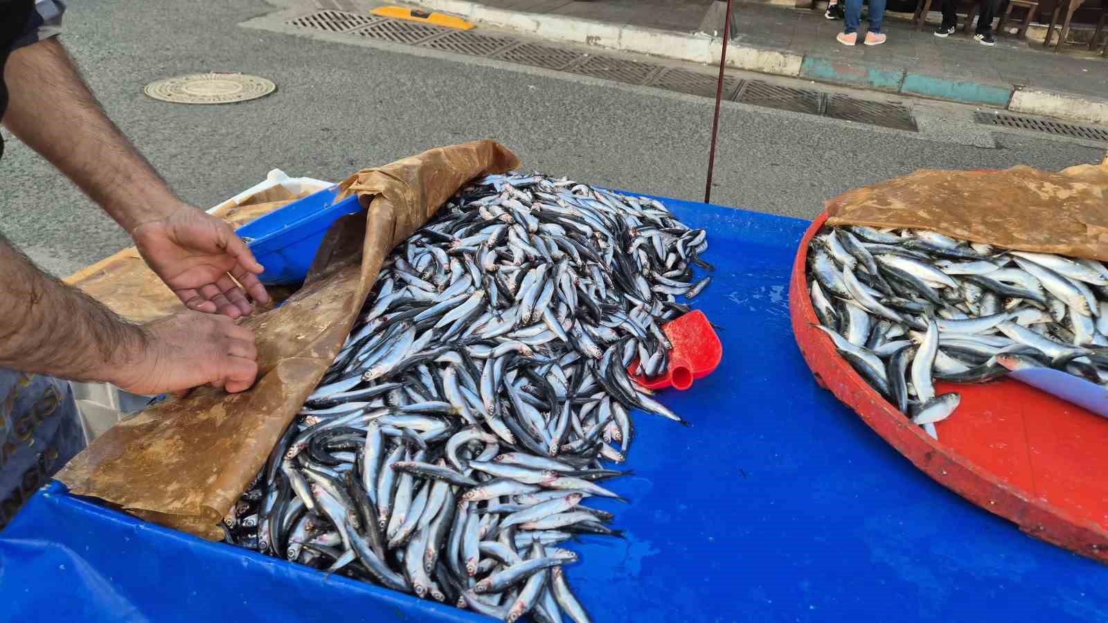 tekirdagda hamsi ve sardalya 150 liradan alici buluyor 1 y7eMZ2ph