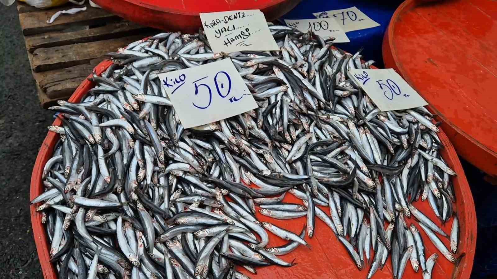 tekirdagda hamsinin kilosu 50 liraya kadar dustu 0 Q9FlGzDI
