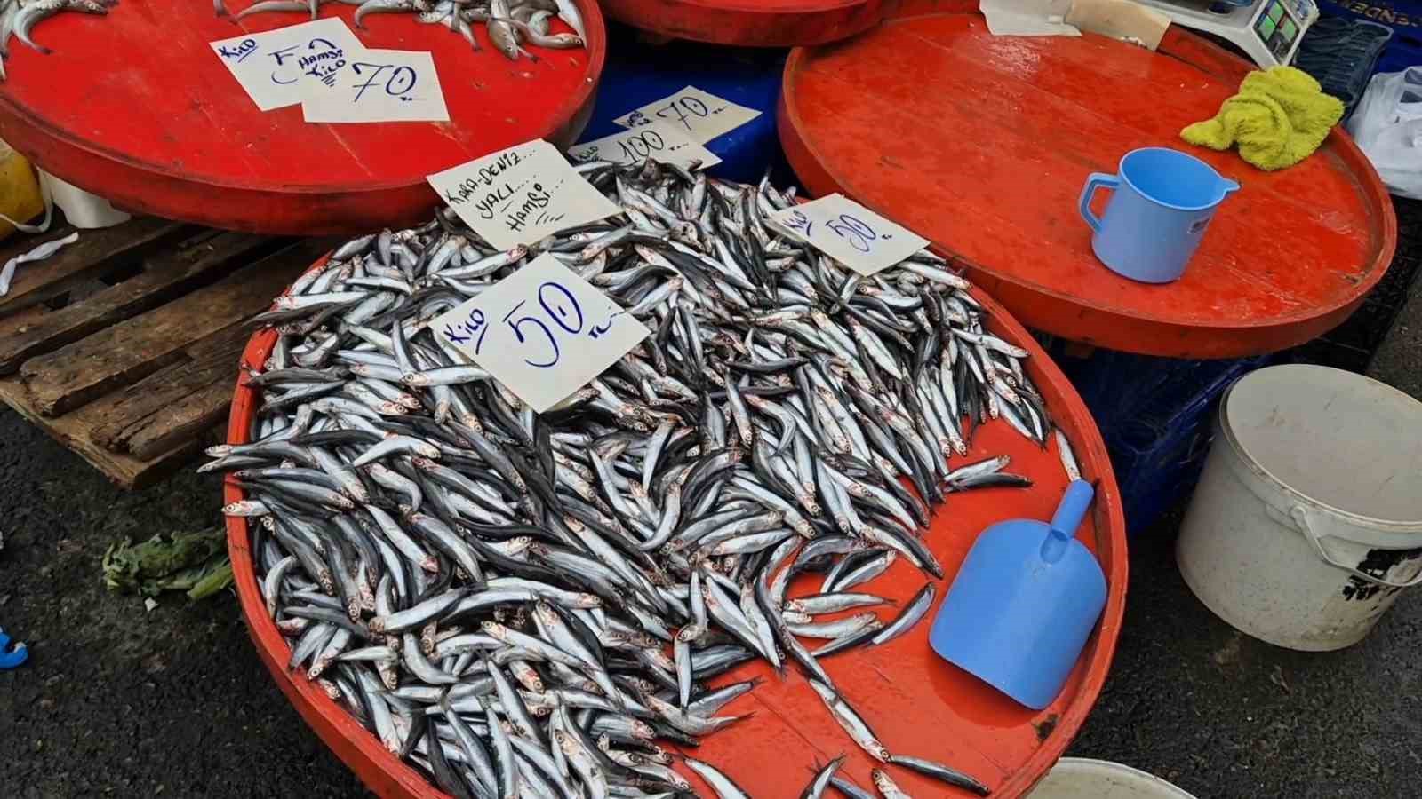 tekirdagda hamsinin kilosu 50 liraya kadar dustu 1 ZPgUSTsk