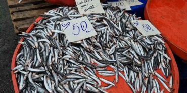 tekirdagda-hamsinin-kilosu-50-liraya-kadar-dustu-CKj5T21e.jpg