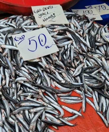 tekirdagda-hamsinin-kilosu-50-liraya-kadar-dustu-CKj5T21e.jpg