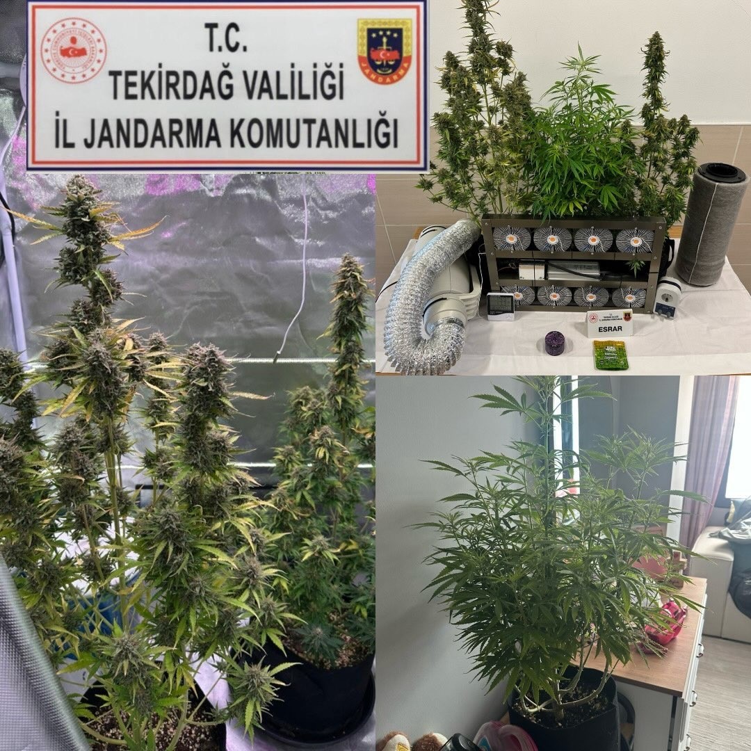 tekirdagda jandarma bir ayda 188 supheliye islem yapti 9 O6kg3hCA