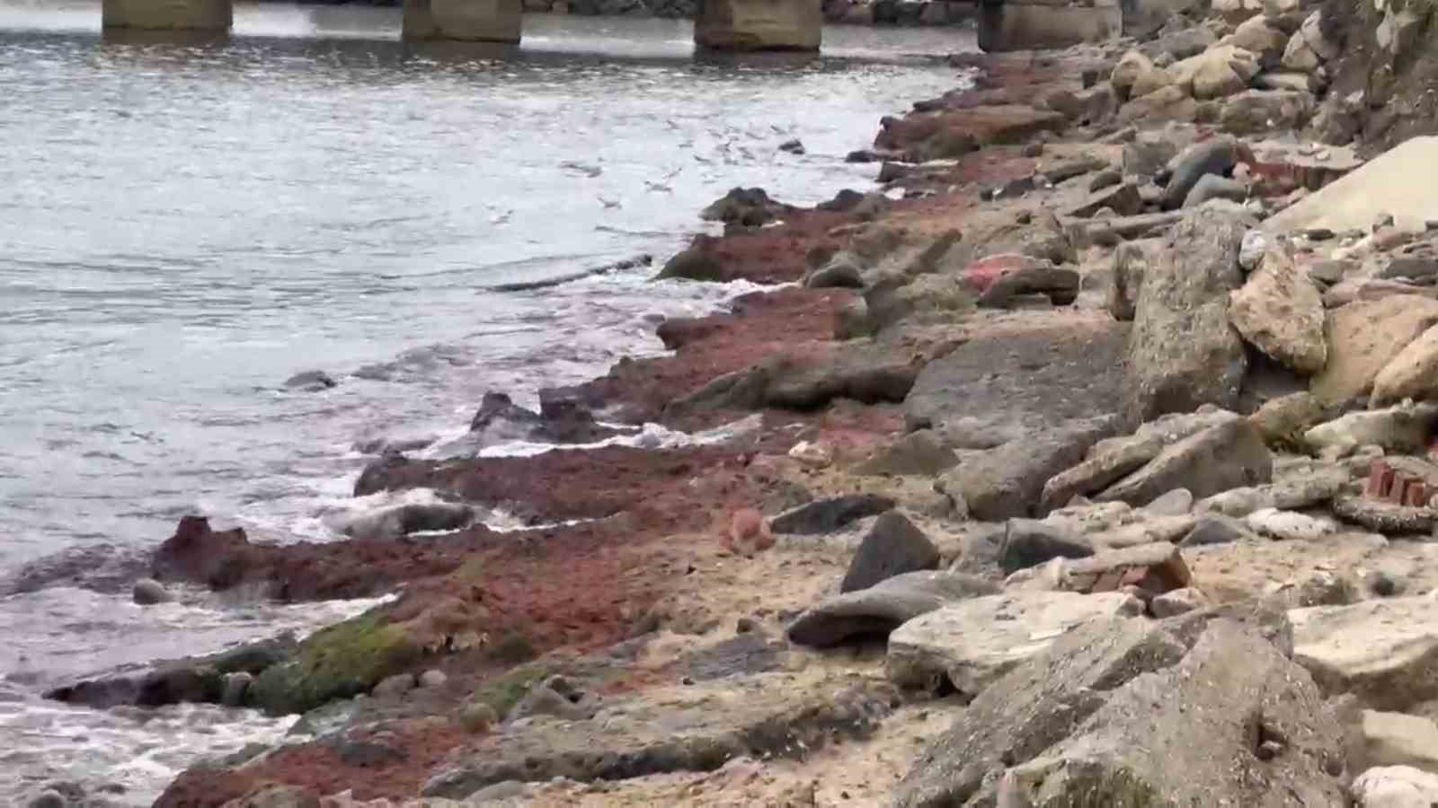 tekirdagda kuvvetli ruzgar sahili kirmizi yosunla kapladi 1 1rKXVCyQ