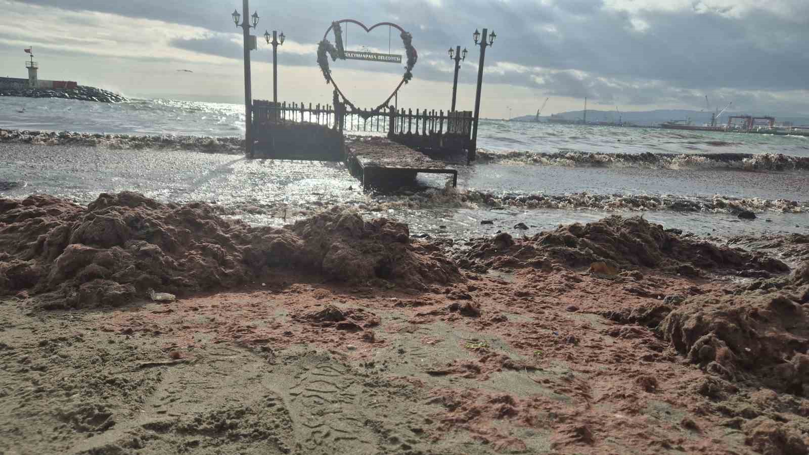 tekirdagda lodos kiyiyi vurdu kizil yosunlar sahili kapladi 0 qQTh2LCV