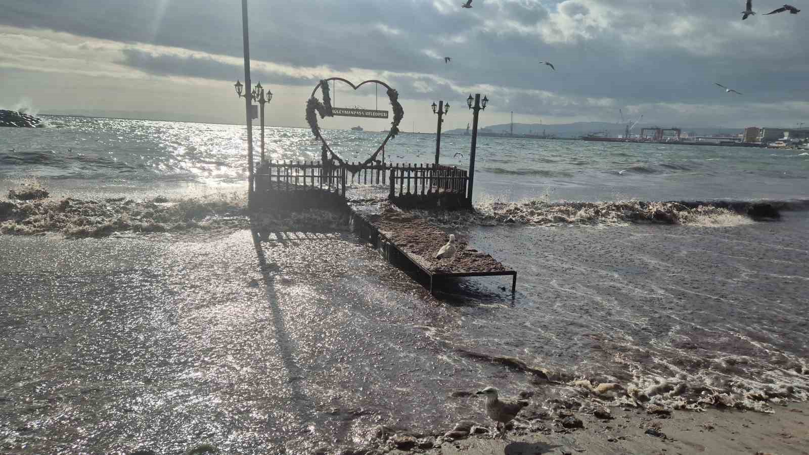 tekirdagda lodos kiyiyi vurdu kizil yosunlar sahili kapladi 1 zeupvurv