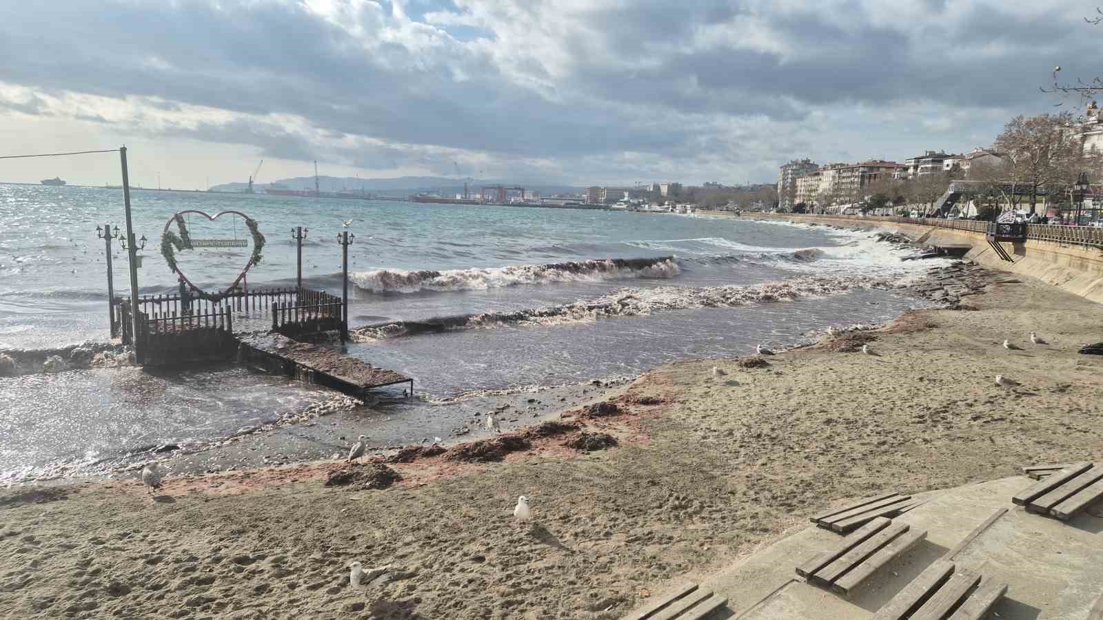 tekirdagda lodos kiyiyi vurdu kizil yosunlar sahili kapladi 2 aVOOtanH
