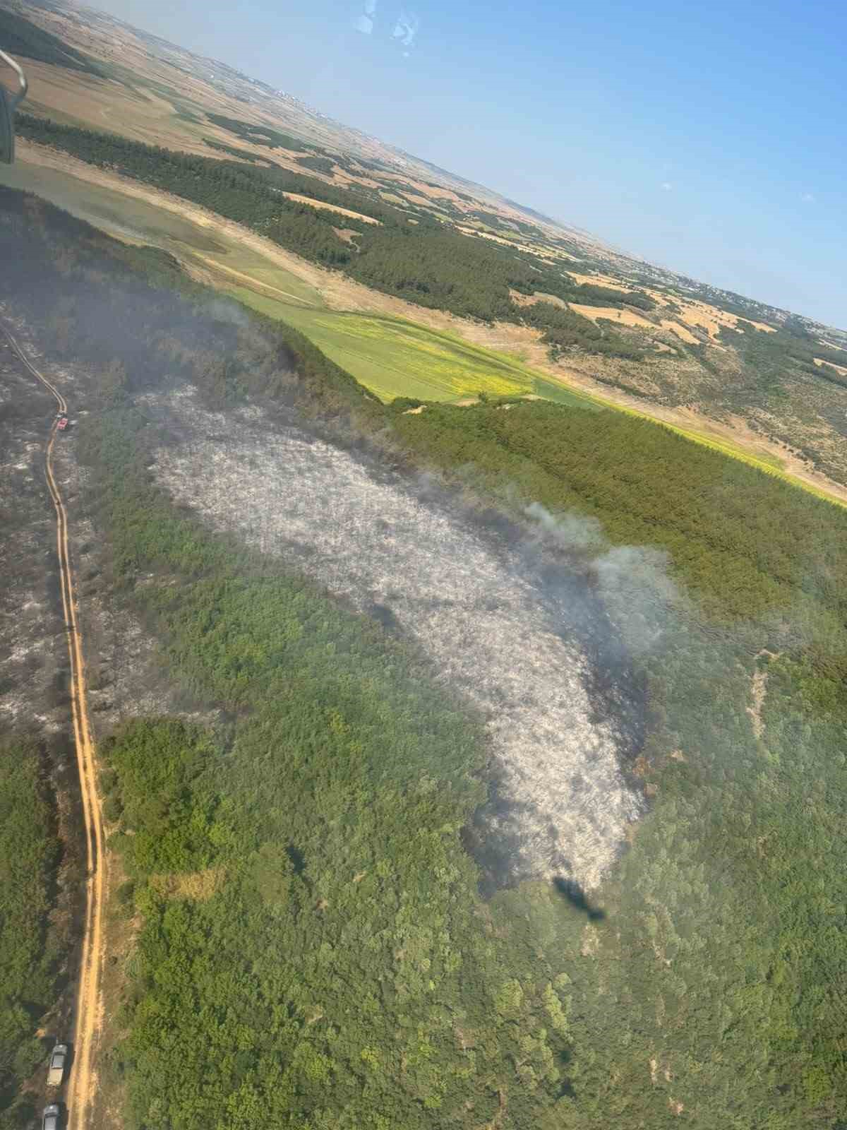 Tekirdağ’da orman yangını: Ekipler havadan ve karadan seferber oldu 6 tekirdagda orman yangini ekipler havadan ve karadan seferber oldu 2 jOYGwMTe