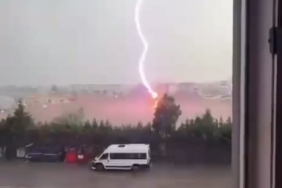 Atlantik kökenli inek burunlu vatoz Akdeniz’de ilk kez görüntülendi 1 thumbnail
