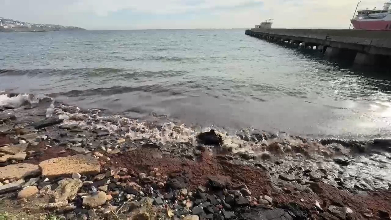 tekirdagda poyraz kizil yosun surukledi 1 K9V73tMb