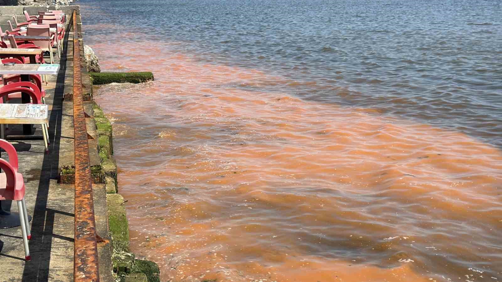 tekirdagda sahil turuncuya burundu 3 3siBXbZl