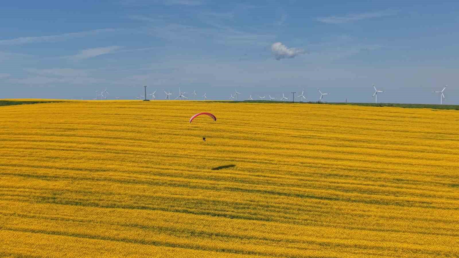 tekirdagda sari solen paramotorlar sari tarlalari gezdi 0 7khNp9Mk