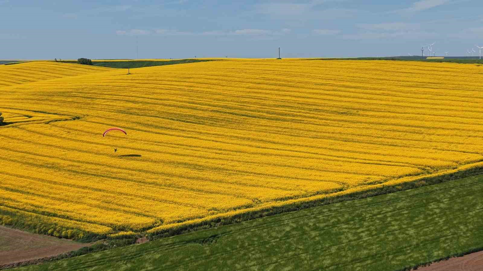 tekirdagda sari solen paramotorlar sari tarlalari gezdi 2